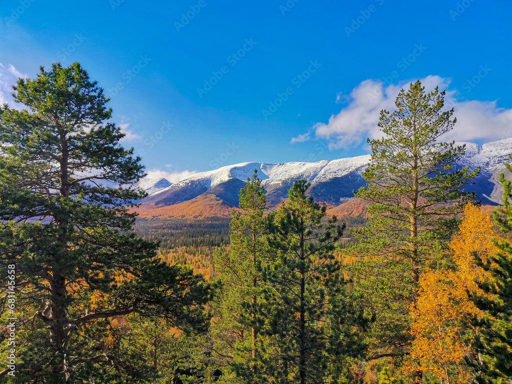 Autumn Arctic landscape in the Khibiny mountains. Kirovsk, Kola Peninsula, Polar Russia. Autumn colorful forest in the Arctic, Mountain hikes and adventures.