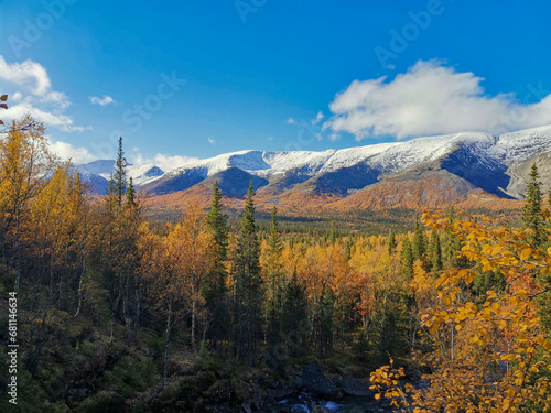 Autumn Arctic landscape in the Khibiny mountains. Kirovsk, Kola Peninsula, Polar Russia. Autumn colorful forest in the Arctic, Mountain hikes and adventures.