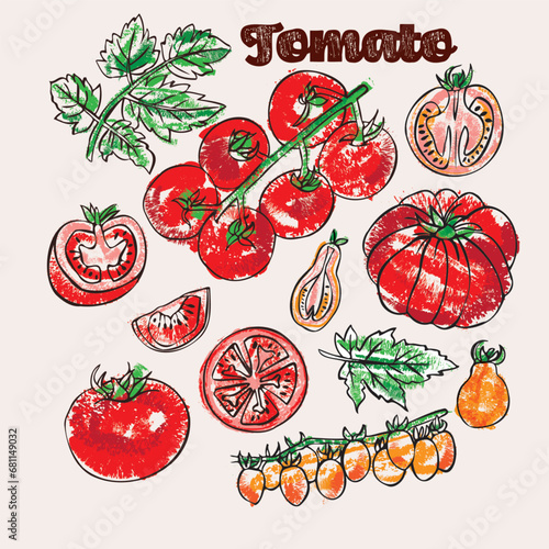 Tomato and leaves crayon vector illustration. Line art and chalk color in an expressive coloring book style