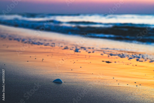 夕焼けの波打ち際にある貝殻 © syu