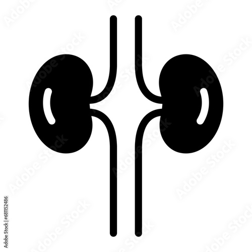 kidney