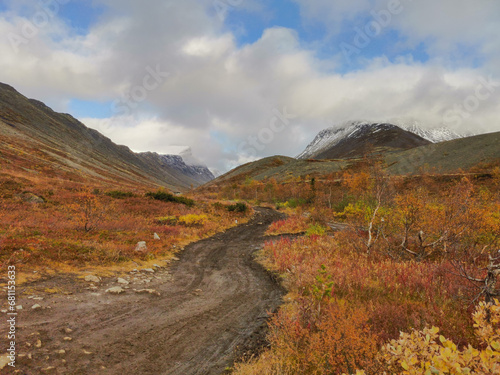 Autumn Arctic landscape in the Khibiny mountains. Kirovsk, Kola Peninsula, Polar Russia. Autumn colorful forest in the Arctic, Mountain hikes and adventures. © Виктория Балобанова