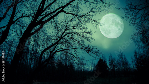 Night sky with moon and dramatic trees. Dramatic clouds in mystic moonlight. Large bright moon as concept of mystery, midnight, gothic time and spooky theme. Halloween concept. © sergofan2015