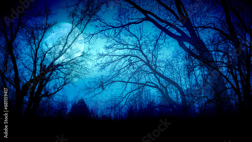 Night sky with moon and dramatic trees. Dramatic clouds in mystic moonlight. Large bright moon as concept of mystery  midnight  gothic time and spooky theme. Halloween concept.