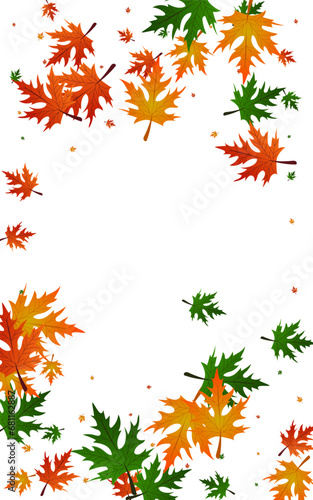 Ocher Maple Background White Vector. Plant Bright Design. Gold Giving. Design Pattern. Yellow Leaf Collection.
