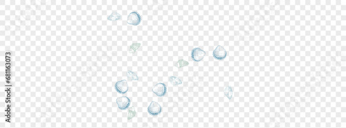 Gray Starfish Background Transparent Vector. Oyster Decoration Wallpaper. Tropical Design. Orange Seashell Doodle Texture. Blue Clam.
