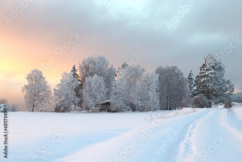 winter landscape with snow covered trees © Svetlana