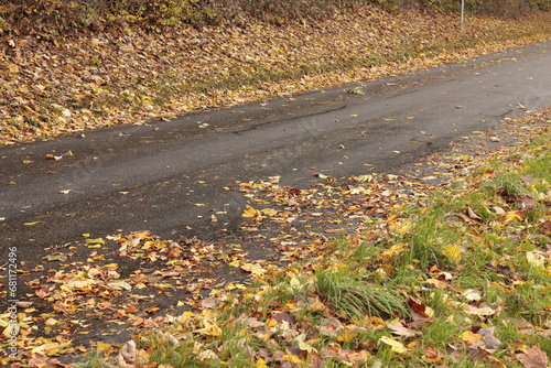 landstrasse herbstlaub nasse fahrbahn gefahr