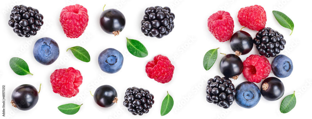 blackberry blueberry raspberry black currant isolated on white background. Top view. Flat lay pattern blackberry blueberry raspberry black currant isolated on white background. Top view. Flat lay pattern