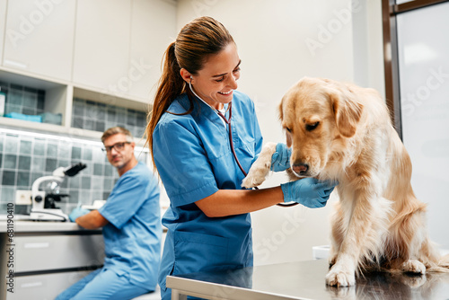 Animals for examination and treatment in the veterinary clinic photo