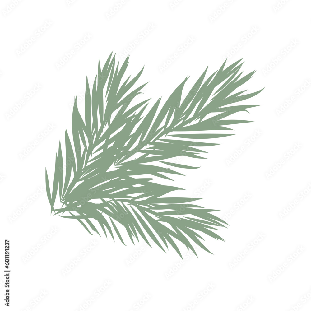 Spruce, fir or pine tree branch with evergreen needles isolated on white background. Fresh forest coniferous sprig. Spruce, fir or pine tree branch with evergreen needles isolated on white background. Fresh forest coniferous sprig.