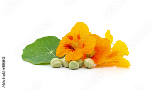 Obraz na plátne Yellow nasturtium with seeds.