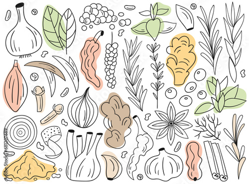 Different food and drink spices and seasoning hand drawn lined doodle set vector illustration