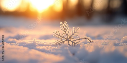 Winter season outdoors landscape  frozen plants in nature on the ground covered with ice and snow  under the morning sun. Seasonal background for Christmas wishes and greeting card