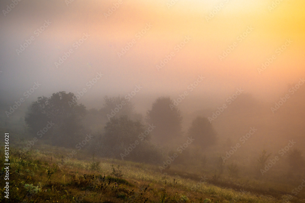 Golden sun rising . Summer morning . Landscape with sun and fog . Golden and red sun rise over the forest . Forest misty . 