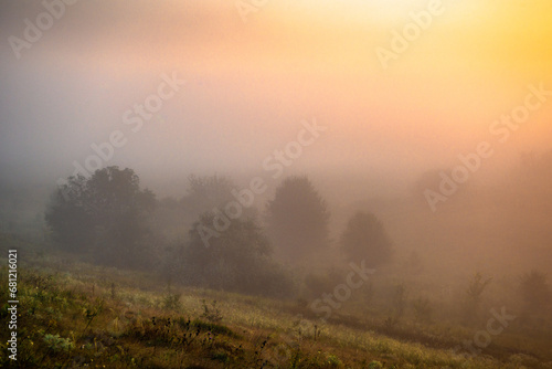 Golden sun rising . Summer morning . Landscape with sun and fog . Golden and red sun rise over the forest . Forest misty .  © Александр Рябинин