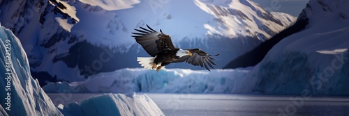 Bald eagle flying in icy glacier mountains