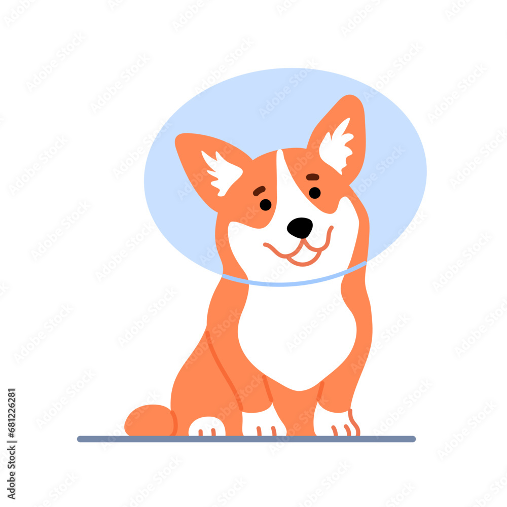 Cute little welsh corgi wearing protective cone isolated on white background. Beautiful purebred dog in veterinary Elizabethan collar design Happy smiling puppy Flat line character vector illustration Cute little welsh corgi wearing protective cone isolated on white background. Beautiful purebred dog in veterinary Elizabethan collar design Happy smiling puppy Flat line character vector illustration