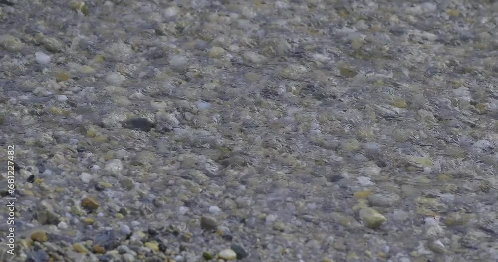 Wild mountain river flowing through stone boulders. Abundant clear stream in La Spezia Wild mountain river flowing through stone boulders. Abundant clear stream in La Spezia