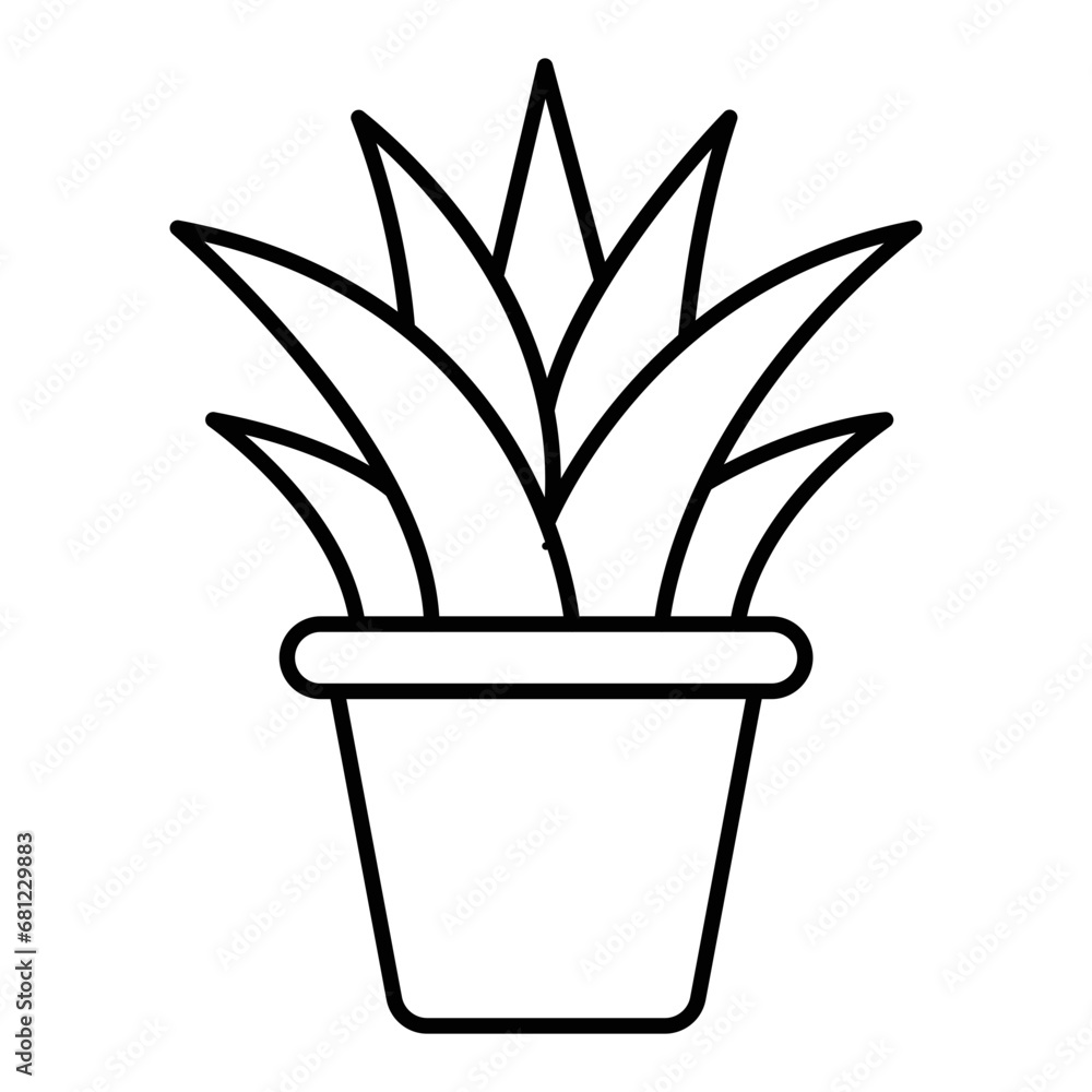 plant plant