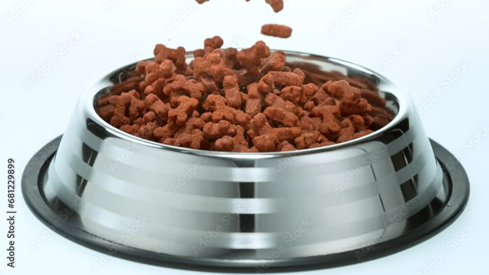 Super Slow Motion Shot of Bone Shaped Dog Food Falling into Bowl at 1000fps. Super Slow Motion Shot of Bone Shaped Dog Food Falling into Bowl at 1000fps.