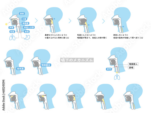 嚥下　しくみ　解説　断面図　シンプル　イラスト　セット