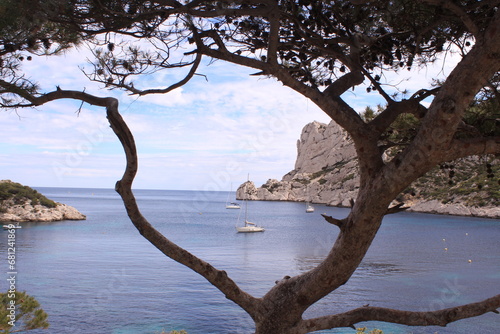 Fototapeta Naklejka Na Ścianę i Meble -  View of a boat from a tree at the Calanque de Sormiou near Marseille, France