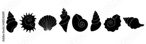 A set of silhouettes and stencils of seashells. Vector graphics.
