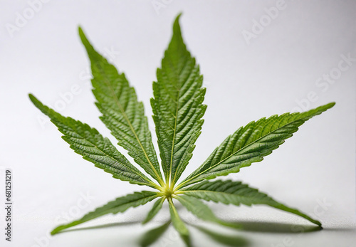 hemp, cannabis, marijuana leaf, close-up, on white background