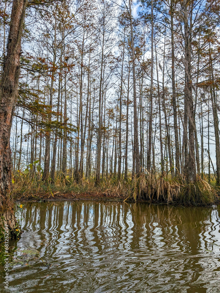 Obraz premium river in the forest