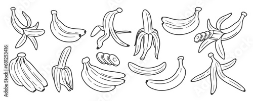 Set of line art of bananas isolated on white background. One line style. Vector illustration © MegaShabanov