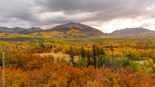 Kebler Pass Colorado Autumn Fall Foliage Yellow Aspen Tree Forests and Mountains with Sunset Light.