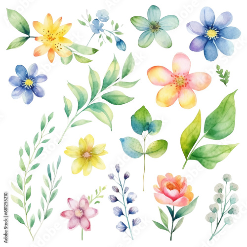set of flowers watercolor 