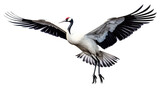a red-crowned crane (Grus japonensis) in-flight, 3/4 view in a PNG, Nature-themed, isolated, and transparent photorealistic illustration Generative ai