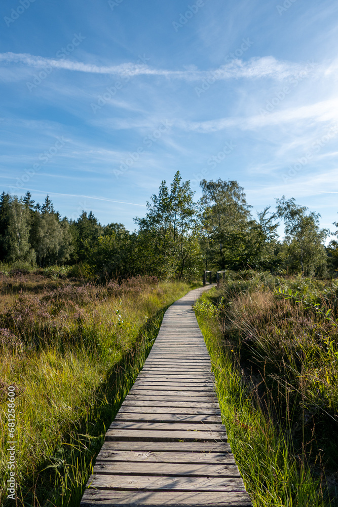 Obraz premium Heidelandschaft NSG Struffelt