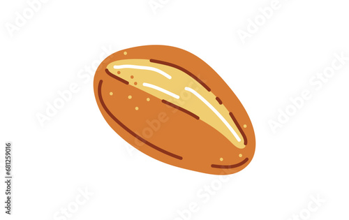 Bread rolls for brunch in germany or sunday buns.Vector illustration