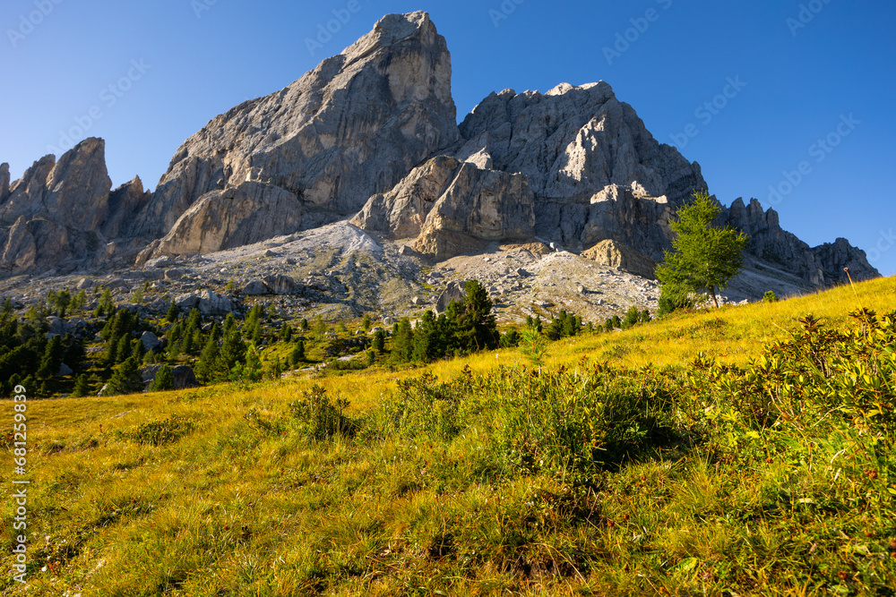 Picturesque mountain landscape overlooking rocky pinnacles of Munt de Fornella framed by greenery of sprawling alpine meadow on sunny summer day. Enchanting nature of Dolomites, Italy