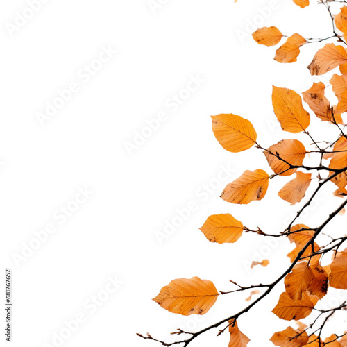 A Serene Tree Branch with Vibrant Yellow Leaves
