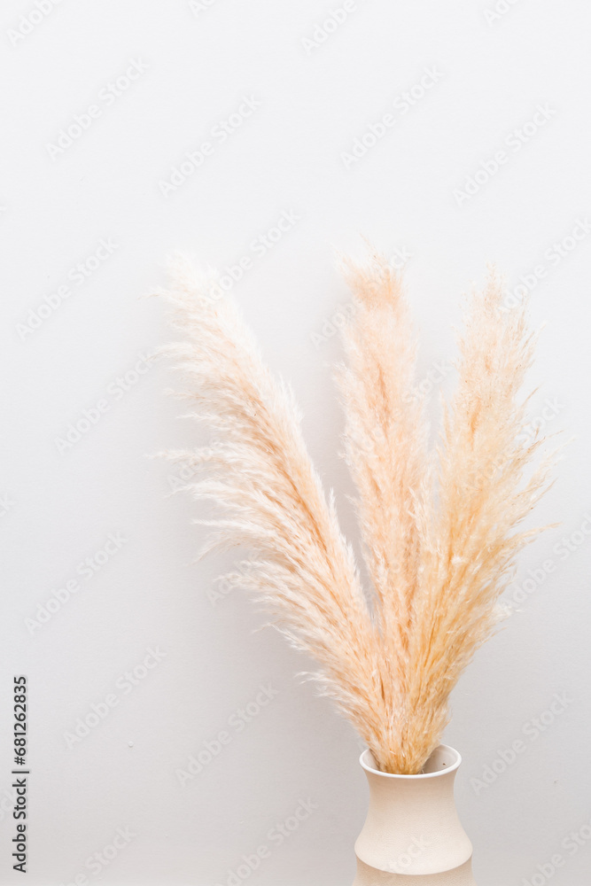 Fototapeta premium Bunch of pampas grass in vase, styled in home