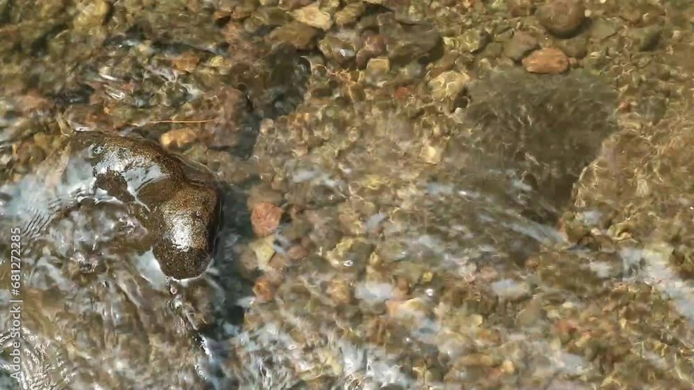 Close-up water flows through a river with different sized stones in it, rocky river Close-up water flows through a river with different sized stones in it, rocky river