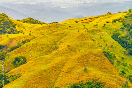 Golden Hues of Monteverde Hills: Nature's Palette in Costa Rica