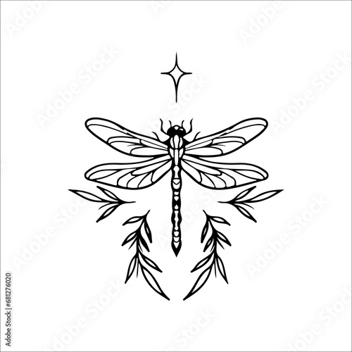 vector illustration of dragonfly and leaves