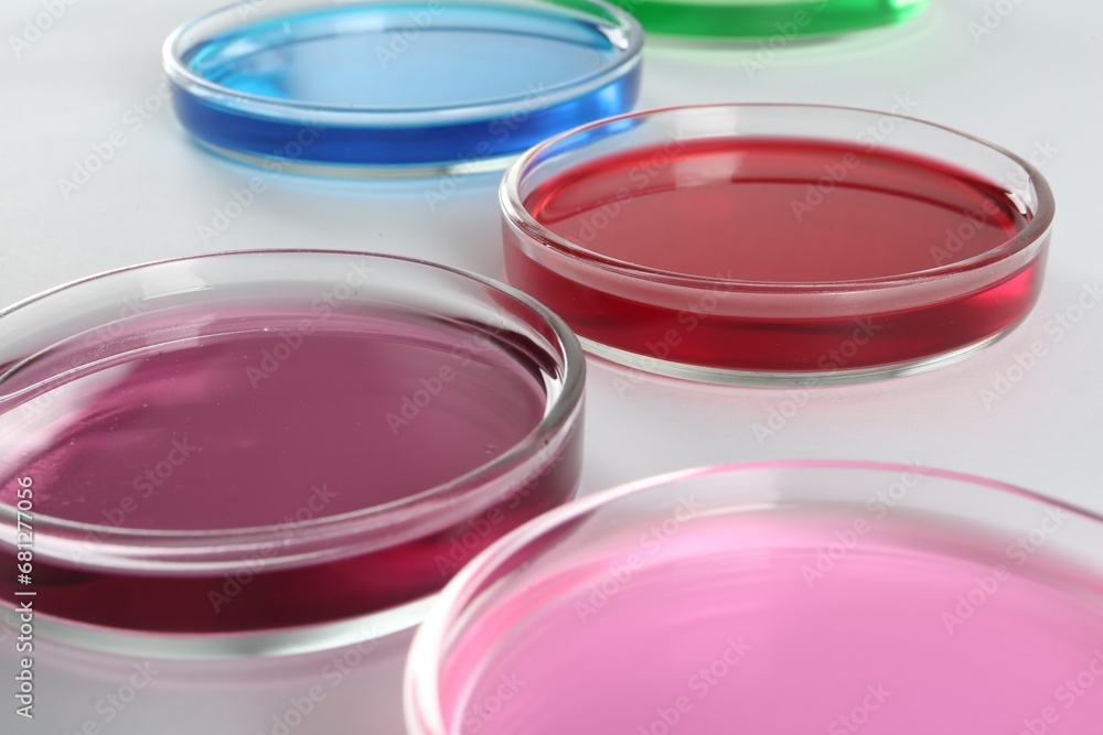 Petri dishes with colorful liquids on white background, closeup Petri dishes with colorful liquids on white background, closeup