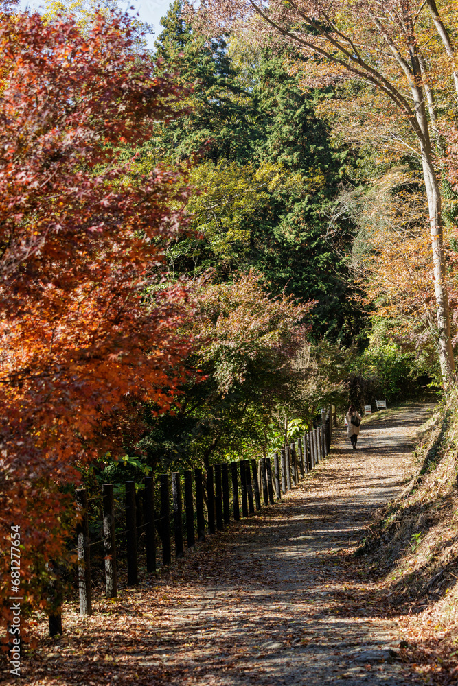 紅葉の中の遊歩道 紅葉の中の遊歩道
