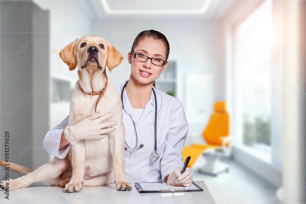 cute smart dog sitting against veterinarian