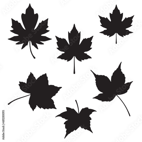 set of maple leaves.  Isolated Maple leaves on the white background. Maple leaves  silhouettes. 