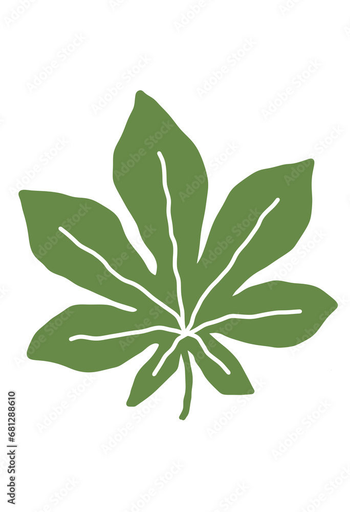 leaf isolated on white background leaf isolated on white background