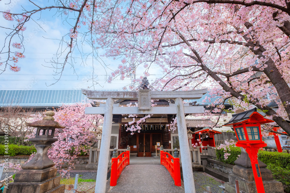 Kyoto, Japan - March 31 2023: Rokusonno shrine built in 963, enshrines MInamota no Tsunemoto the 6th grandson of Emperor Seiwa. It's one of the best cherryblossom viewing spots in Kyoto Kyoto, Japan - March 31 2023: Rokusonno shrine built in 963, enshrines MInamota no Tsunemoto the 6th grandson of Emperor Seiwa. It's one of the best cherryblossom viewing spots in Kyoto