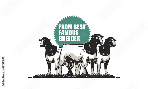 SUPERIOR DORPER SHEEP FROM BEST BREEDER LOGO, silhouette of great ram standing in farm vector illustrations