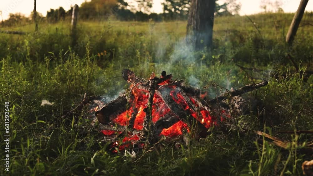Summer campfire in a backyard in Ontario, Canada.